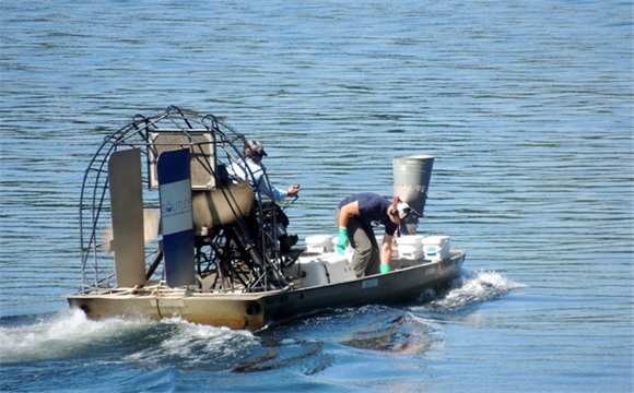 Hydrilla Treatment Update